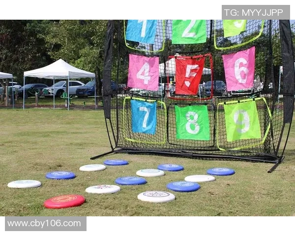 飞盘运动的魅力与技巧探讨赵军分享独特心得与经验