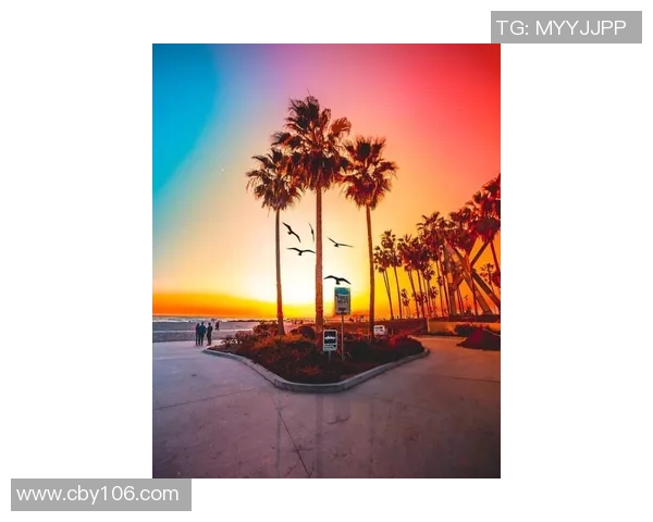 飞盘之路：杨静如何在深度对话中展现人生哲学与运动热情