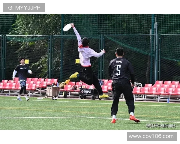 飞盘盛宴：深入了解北京飞盘队的实力与魅力