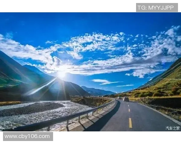 飞盘追梦：周秀英的运动人生与心灵对话之旅