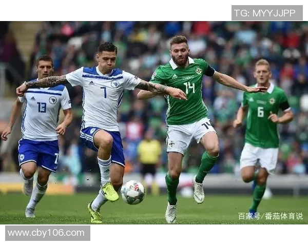 北爱尔兰对阵波黑赛事分析及胜负推荐详解 北爱尔兰对阵波黑赛事分析及胜负推荐详解