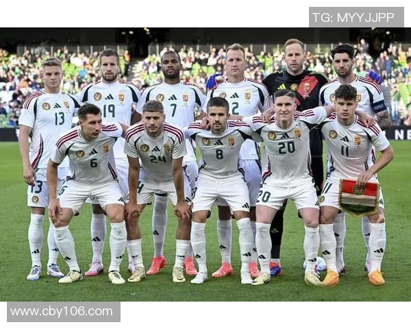 瑞士与匈牙利比赛结果深度分析及未来展望 瑞士与匈牙利比赛结果深度分析及未来展望