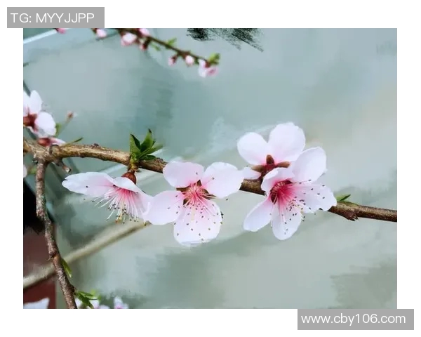 罗凯文的成长之路与音乐梦想的追寻探索