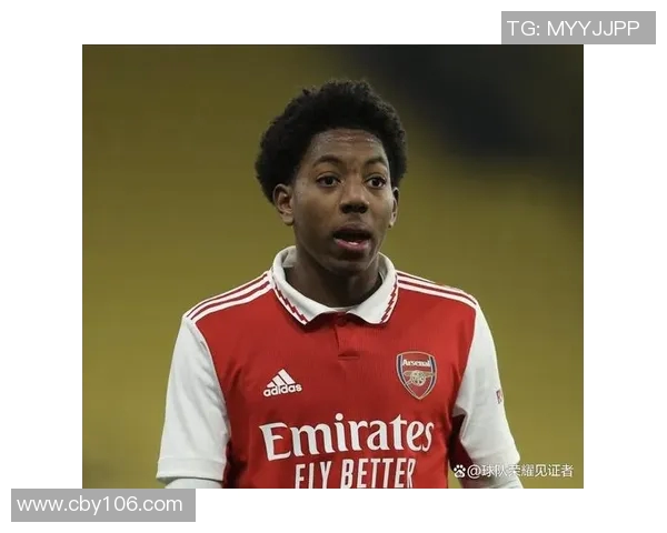 裁判承认误判深感歉意阿森纳有效进球被取消实属失误